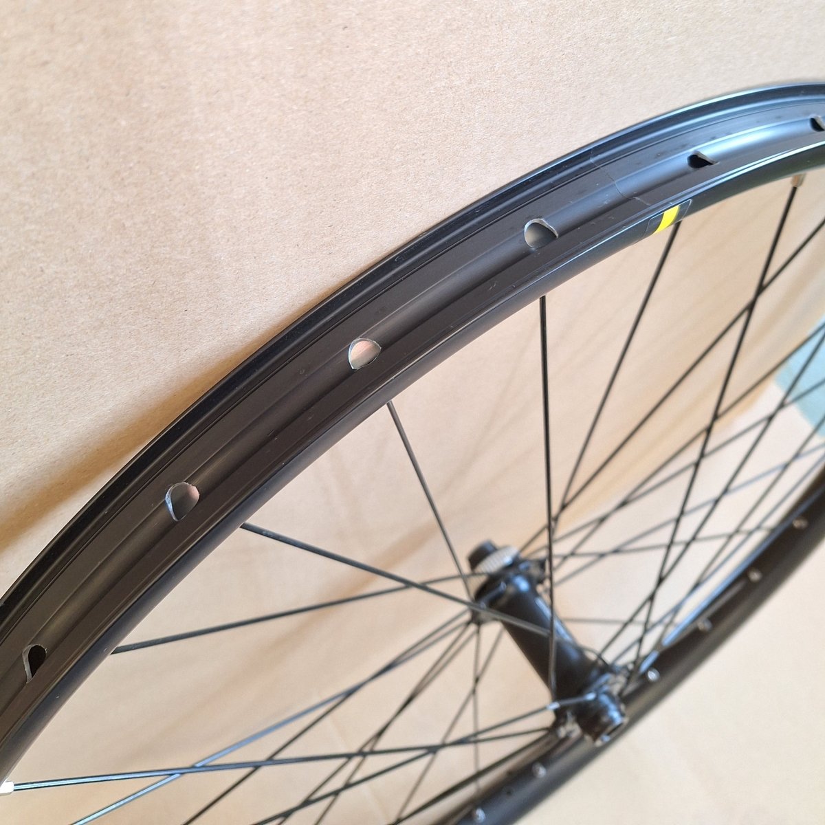 Bastler - Set: DT Swiss H 1900 + Mavic EX630 (Defekt) - RAAAD.de