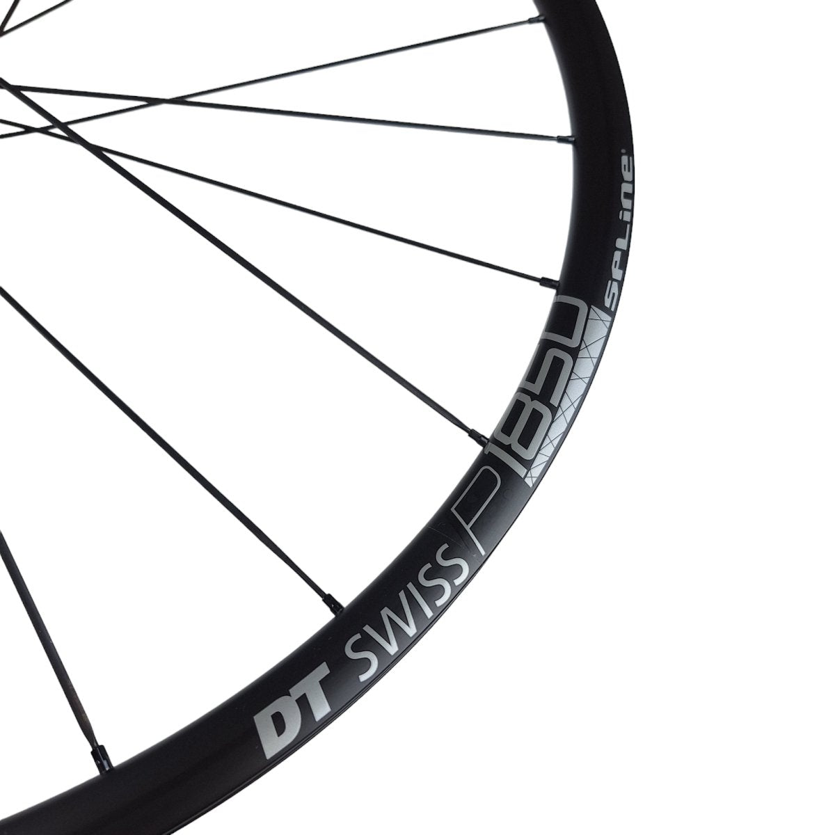 DT Swiss P 1850 SPLINE 23 Hinterrad 28" | Rennrad | Disc Brake | Shimano HG | Tubeless Ready - RAAAD.de