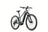 Conway Cairon S 2.0 Trapez 625Wh | E-MTB Hardtail 29" | Bosch CX | Grau | Größe L