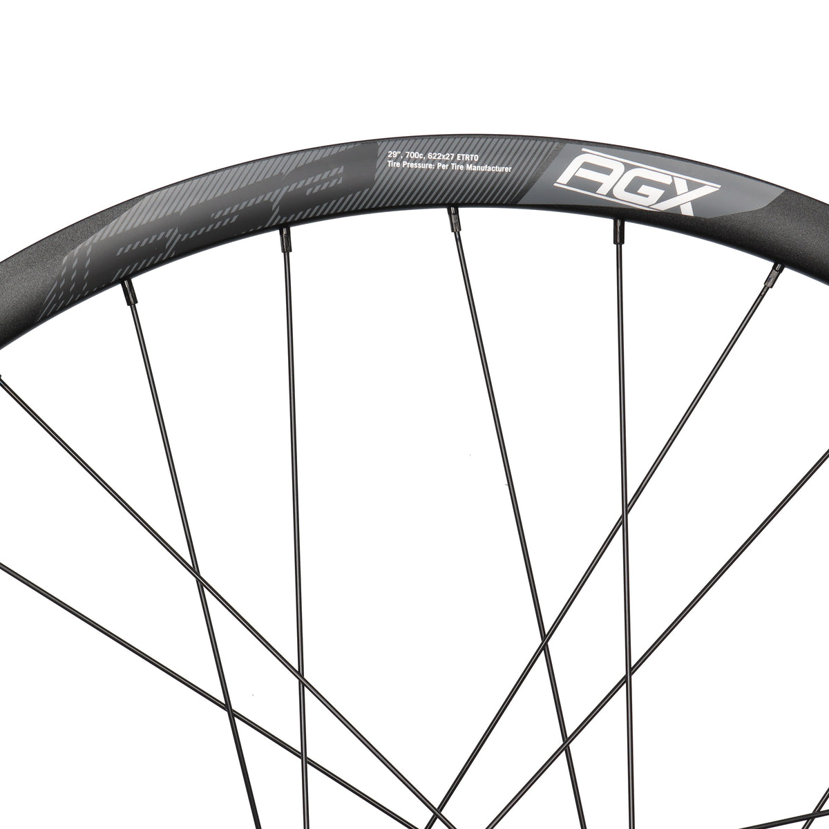 FSA AGX Alloy | 28 Zoll Laufradsatz mit Motor | Disc 6-Loch | X-Series X35-M1C-EU Hinterradantrieb