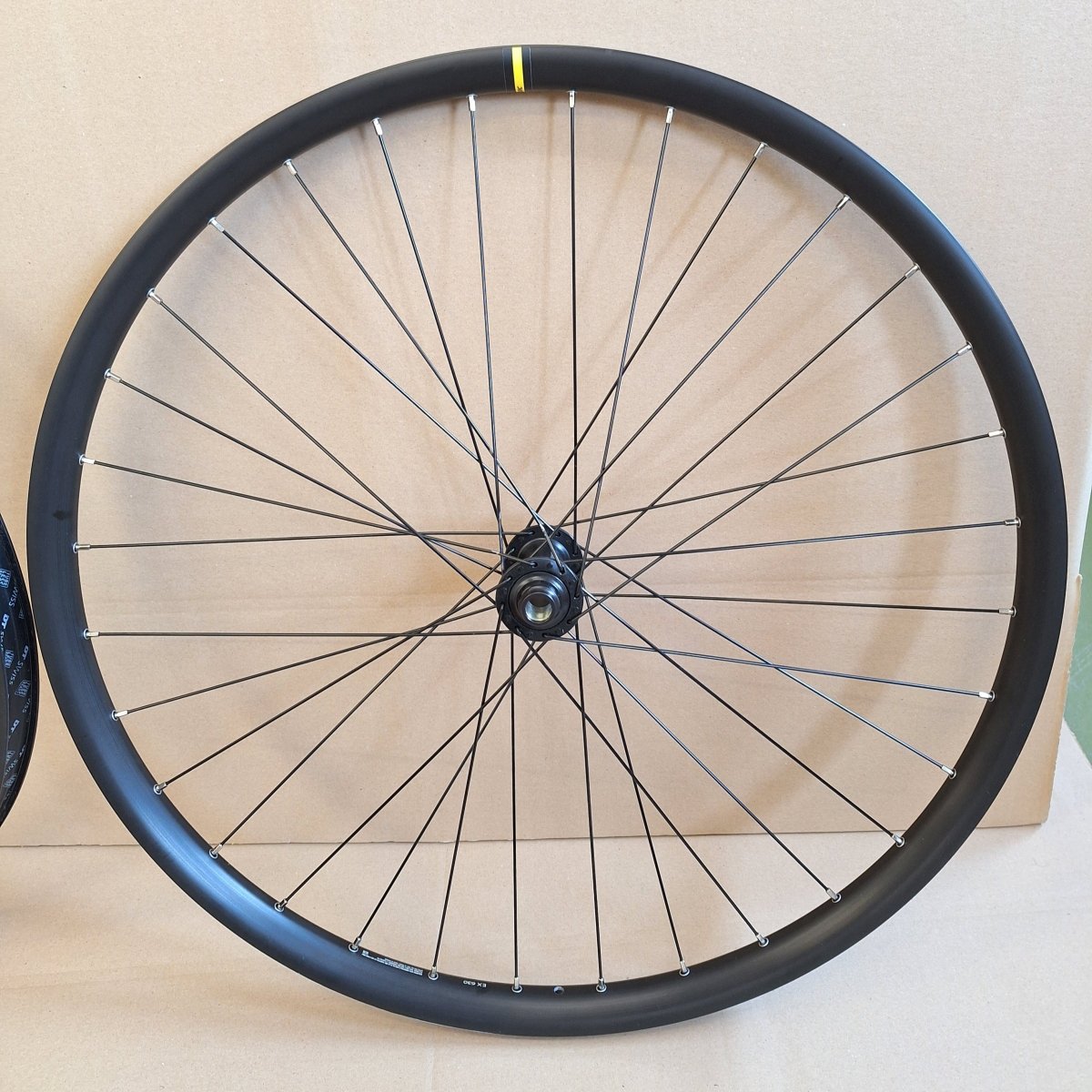 Bastler - Set: DT Swiss H 1900 + Mavic EX630 (Defekt) - RAAAD.de