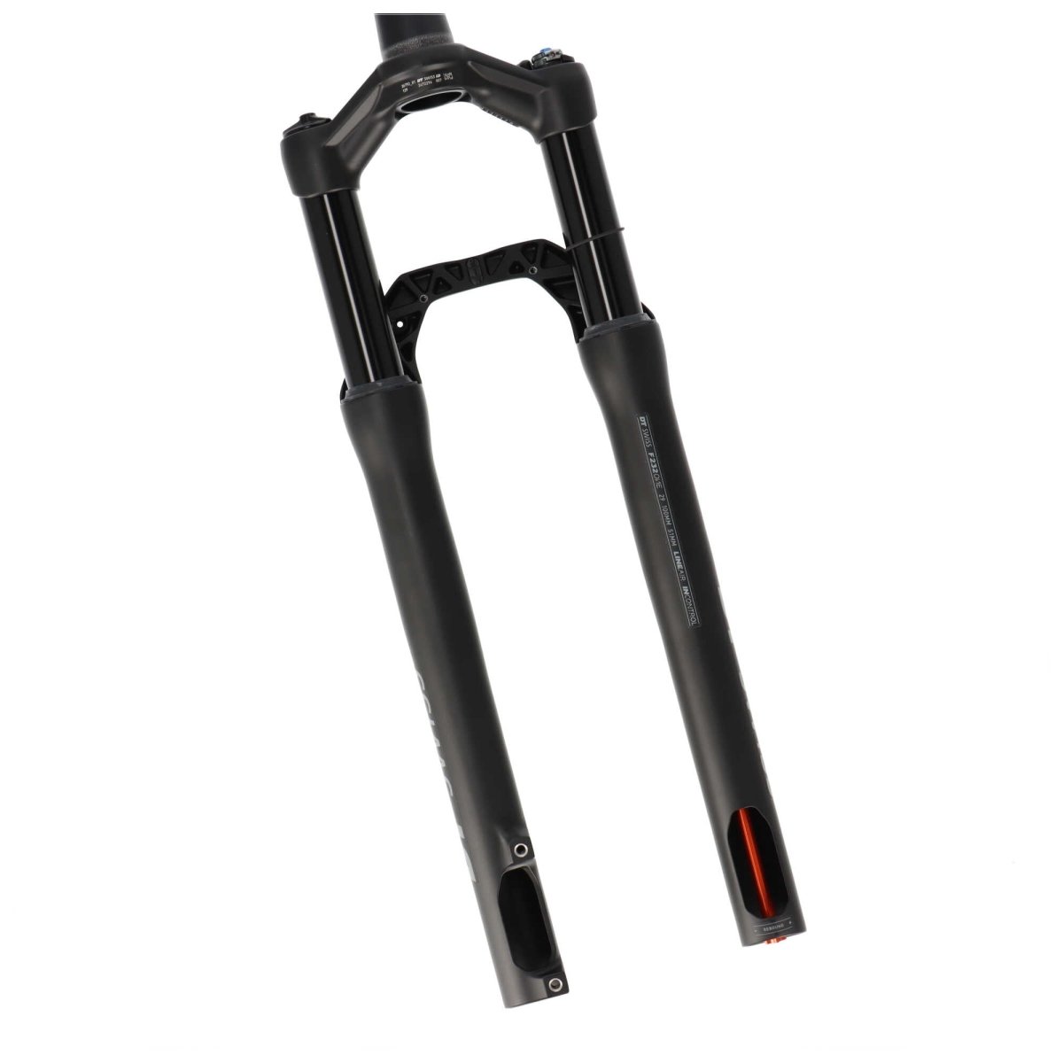 DT Swiss F232 One Federgabel 29" 100 mm Boost Remote Lockout - RAAAD.de