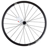DT Swiss P 1850 SPLINE 23 Hinterrad 28" | Rennrad | Disc Brake | Shimano HG | Tubeless Ready - RAAAD.de