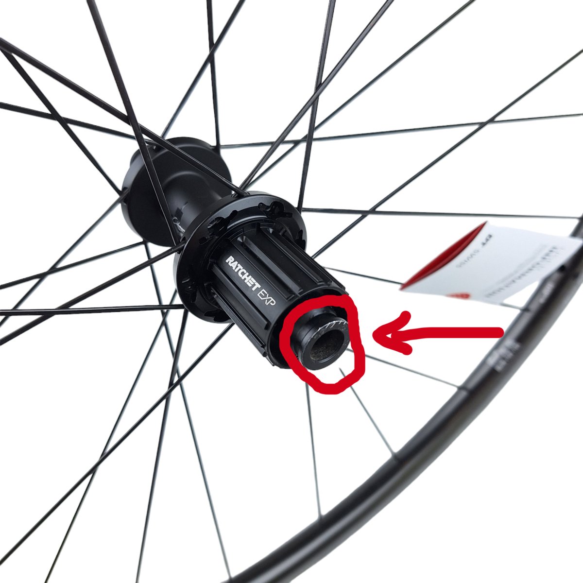 DT Swiss PRC 1100 DICUT 24 Mon Chasseral Rear Wheel – RAAAD.de