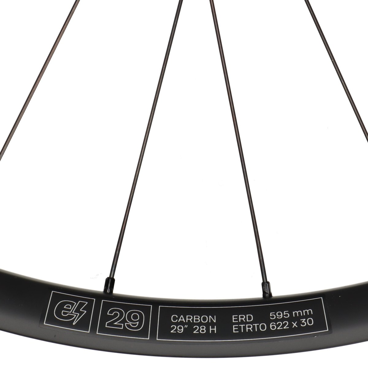 E*Thirteen Grappler Race Carbon E-Spec | Vorderrad 29" | E-MTB | Disc 6-Loch | 15x110 mm Boost - RAAAD.de