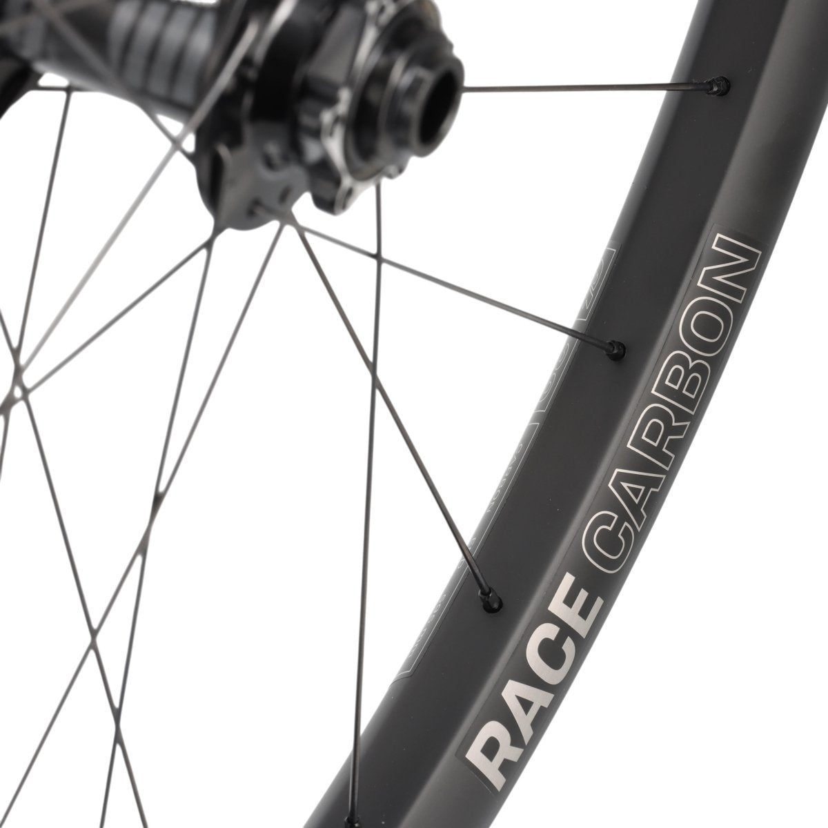E*Thirteen Grappler Race Carbon E-Spec | Vorderrad 29" | E-MTB | Disc 6-Loch | 15x110 mm Boost - RAAAD.de