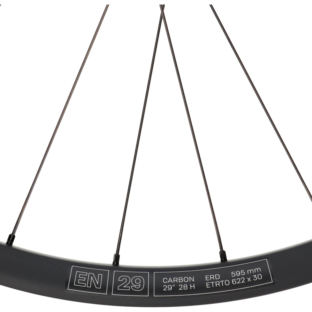 E*Thirteen Grappler Race Carbon | Hinterrad 29" | MTB | Disc 6-Loch | 12x148 mm Boost | SRAM XD - RAAAD.de