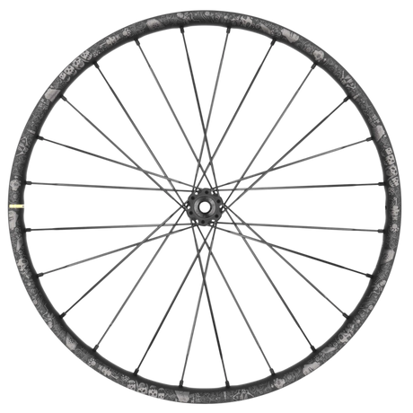 MAVIC Vorderrad DEEMAX PRO 27.5" Boost 15x110 mm 6 - Loch SAM HILL Edition - RAAAD.de