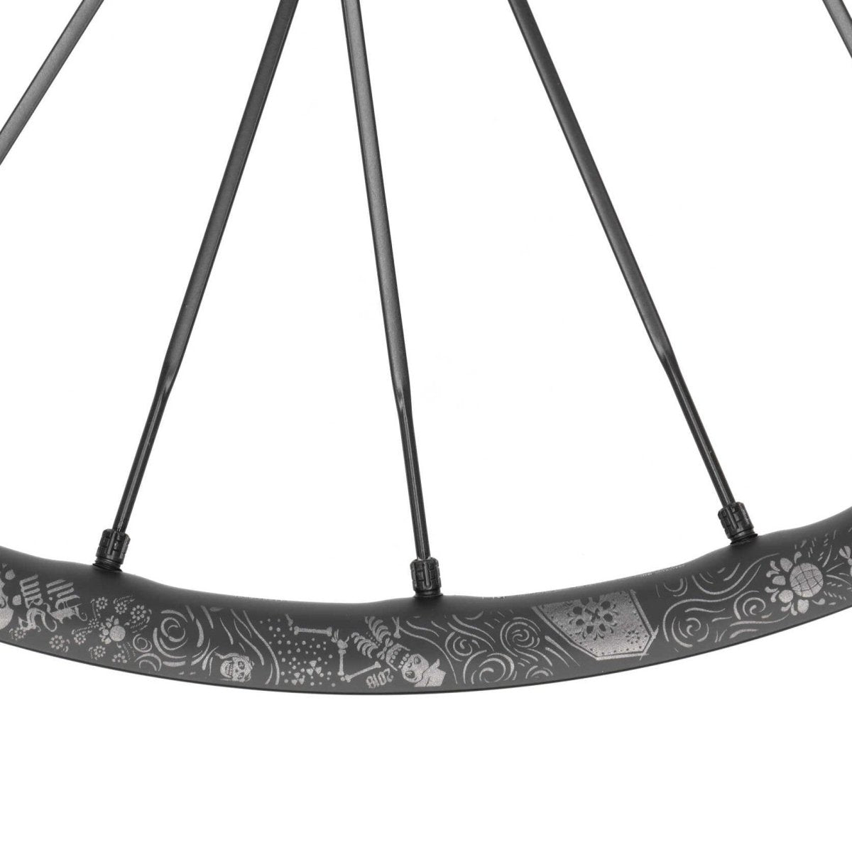 MAVIC Front Wheel DEEMAX PRO 29 inch 15x100 mm 6-bolt SAM HILL
