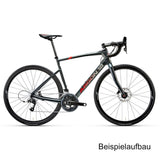 ARGON18 Rennrad Rahmen Carbon KRYPTON CS Disc (Größe S) - RAAAD.de