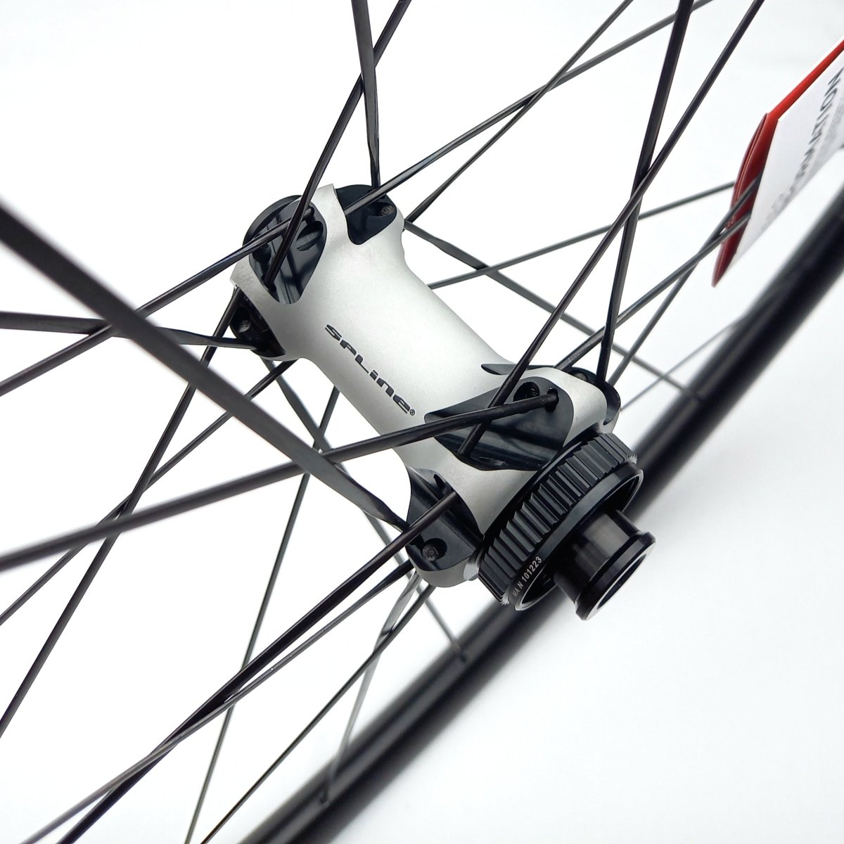 23 zoll rennrad DT Swiss ER 1600 SPLINE 23 DB Rennrad Shimano – RAAAD.de