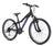 Fuji Dynamite 24 Comp Kinderfahrrad 2022 - RAAAD.de